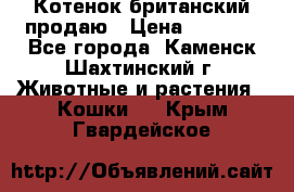 Котенок британский продаю › Цена ­ 3 000 - Все города, Каменск-Шахтинский г. Животные и растения » Кошки   . Крым,Гвардейское